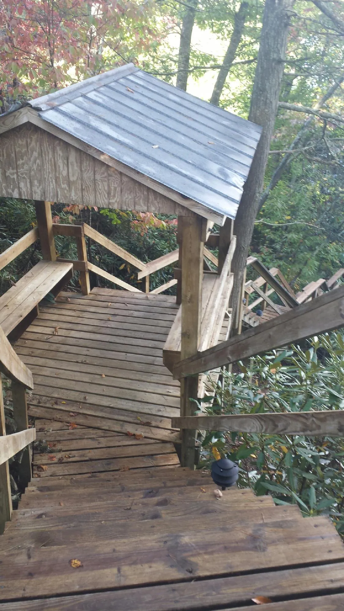 Metal roofed shelter over wooden steps on a wooded walkway — Skylight Repair & Installation work by our crew in Lacombe